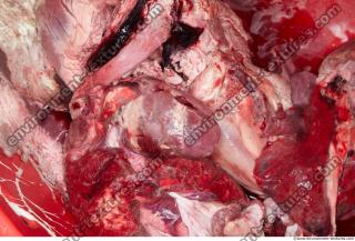 RAW meat pork viscera 0048